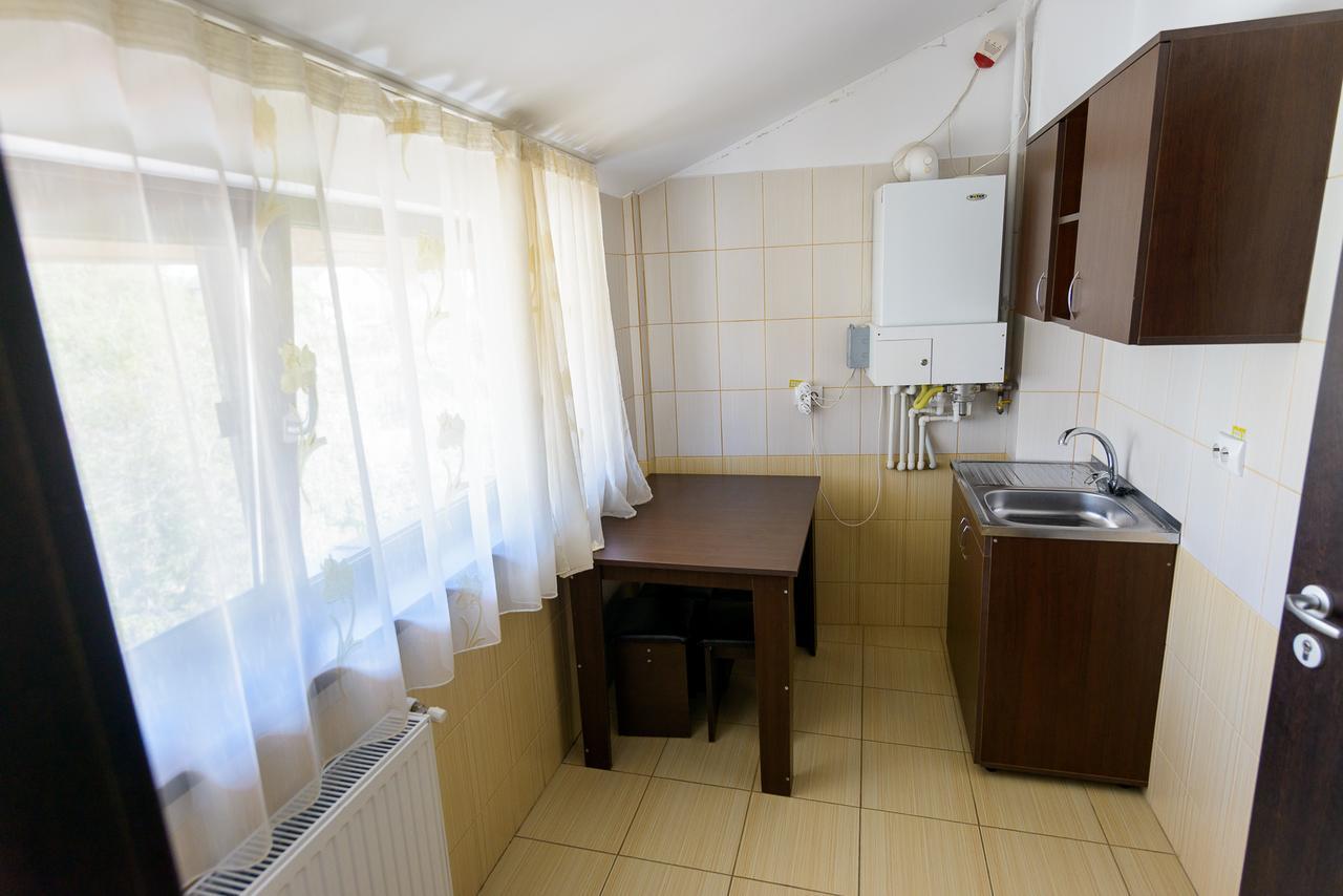 Pensiunea Domneasca Pitesti Bagian luar foto